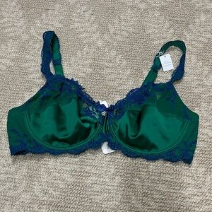 Lise Charmel Elegant Green and Blue Lace Bra NWT
